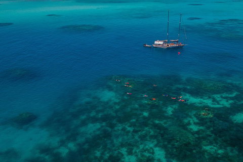 Ocean Free Green Island & Great Barrier Reef Snorkel Cruise, Cairns 25 Guests - Kawana Tourism 5