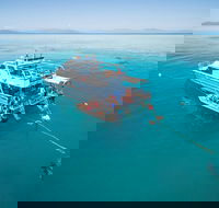 Ocean Freedom Great Barrier Reef Personal Luxury Snorkel  Dive Cruise Cairns - Kawana Tourism