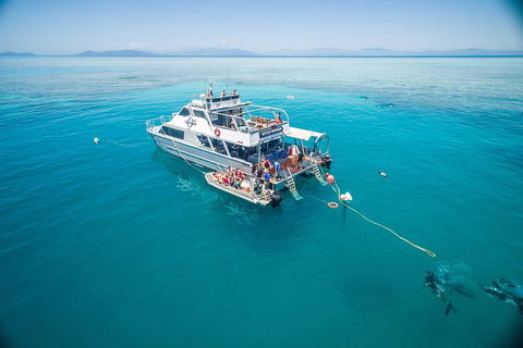 Ocean Freedom Great Barrier Reef Personal Luxury Snorkel & Dive Cruise, Cairns - Kawana Tourism 0