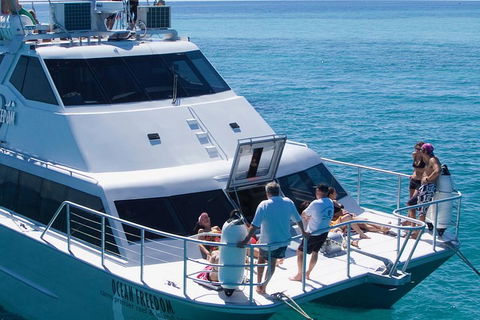 Ocean Freedom Great Barrier Reef Personal Luxury Snorkel & Dive Cruise, Cairns - Kawana Tourism 1
