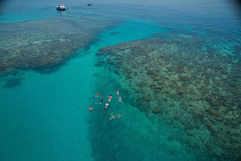 Ocean Freedom Great Barrier Reef Personal Luxury Snorkel & Dive Cruise, Cairns - Kawana Tourism 3