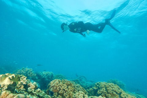 Ocean Freedom Great Barrier Reef Personal Luxury Snorkel & Dive Cruise, Cairns - Kawana Tourism 5