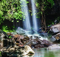 Full Day Small Group Luxury Tour to Tamborine Mountain - Kawana Tourism