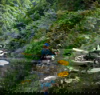 Byron Bay Rainforest Fishing - Kawana Tourism