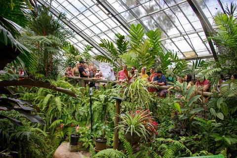 Australian Butterfly Sanctuary - Kawana Tourism 0