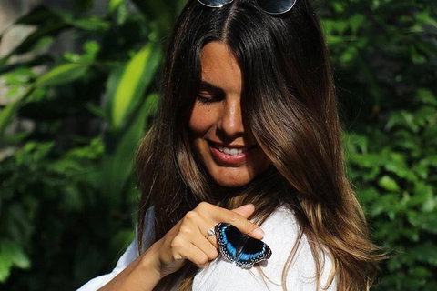 Australian Butterfly Sanctuary - Kawana Tourism 2