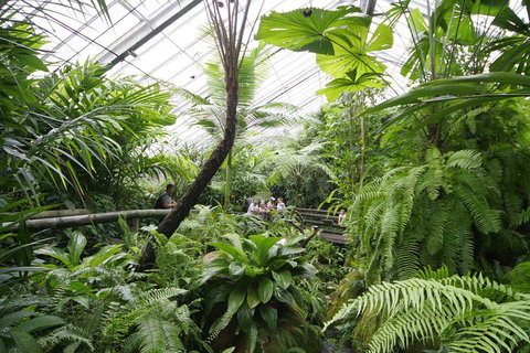 Australian Butterfly Sanctuary - Kawana Tourism 3