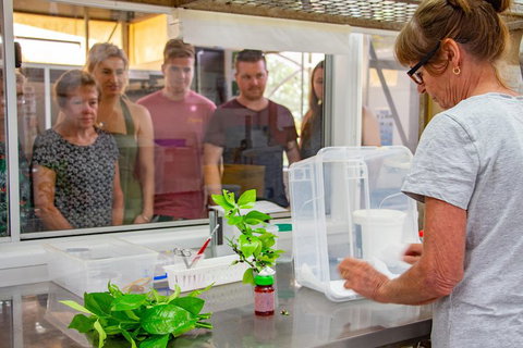 Australian Butterfly Sanctuary - Kawana Tourism 5