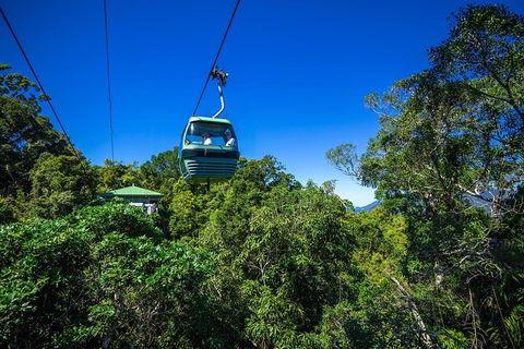 Classic Kuranda By Skyrail And Scenic Railway Including Rainforestation, Koala And Wildlife Park And Pamagirri Aboriginal Experi - Kawana Tourism 0