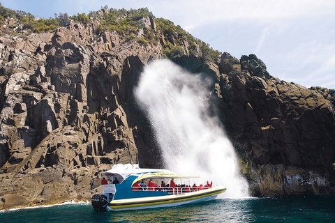 3-Hour Bruny Island Cruise From Adventure Bay, Bruny Island - Kawana Tourism 5