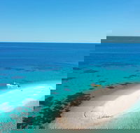 Ocean Safari Great Barrier Reef Experience in Cape Tribulation - Kawana Tourism