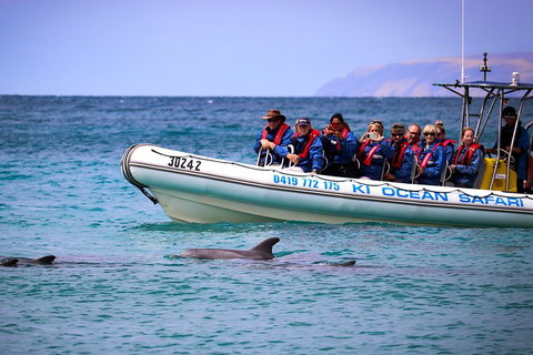 Kangaroo Island 75-Minute Ocean Safari - Kawana Tourism 4