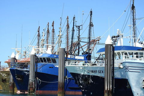 One Day Port Lincoln Tour - Tasting Eyre - Kawana Tourism 0