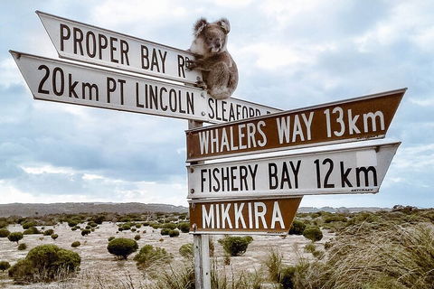 One Day Port Lincoln Tour - Tasting Eyre - Kawana Tourism 2