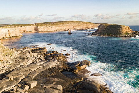 One Day Port Lincoln Tour - Tasting Eyre - Kawana Tourism 3