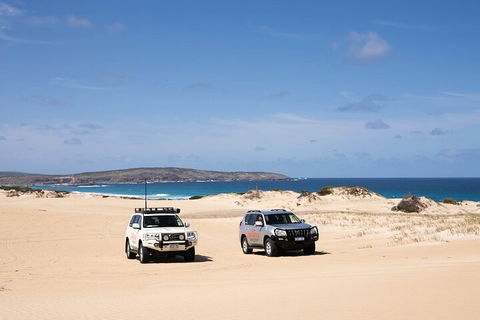 3 Day Port Lincoln And Coffin Bay Private Tour - Kawana Tourism 0