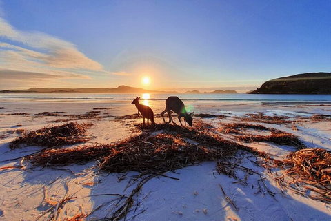 10-Day Perth To Adelaide Adventure Tour - Kawana Tourism 1