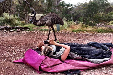 6 Day Esperance & Margaret River Adventure Tour - Kawana Tourism 5
