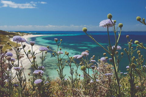 Rottnest Island Full-Day Trip With Guided Island Tour From Perth - Kawana Tourism 2