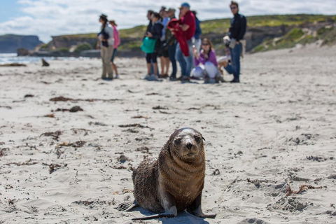 Kangaroo Island In A Day Tour From Adelaide - Kawana Tourism 0