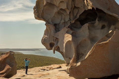 Kangaroo Island In A Day Tour From Adelaide - Kawana Tourism 5