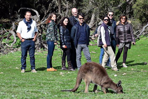 2-Day Kangaroo Island 4WD Small-Group Tour From Adelaide - Kawana Tourism 1