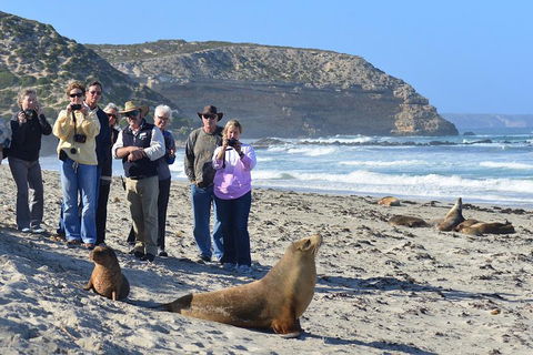 2-Day Kangaroo Island 4WD Small-Group Tour From Adelaide - Kawana Tourism 3