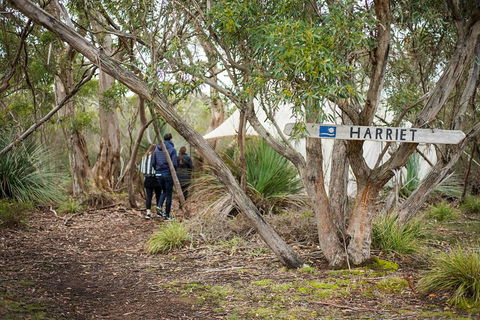 2-Day Kangaroo Island 4WD Small-Group Tour From Adelaide - Kawana Tourism 5