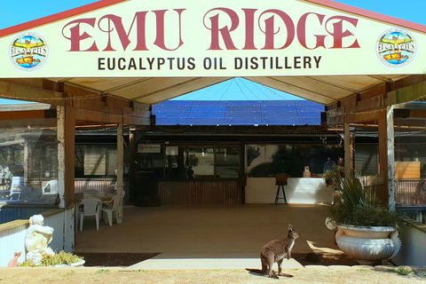 2 Day Ultimate Kangaroo Island With Return Ferry - Kawana Tourism 3