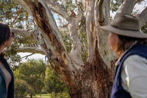 NEW TOUR - Kangaroo Island Road To Recovery Tour (1 Day/1 Night) - Kawana Tourism 0