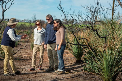 NEW TOUR - Kangaroo Island Road To Recovery Tour (1 Day/1 Night) - Kawana Tourism 4