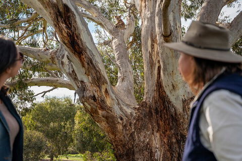 Full Day Flinders Chase Tour From Kangaroo Island - Kawana Tourism 5
