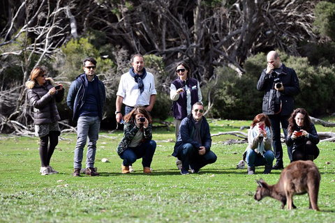 Small-Group Kangaroo Island 4WD Tour From Adelaide - Kawana Tourism 2