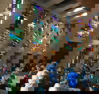 Cairns Shore Excursion Cairns City Sights  Surrounds Tour - Kawana Tourism