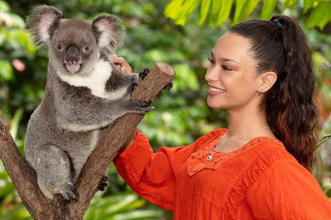Kuranda Wildlife Experience Three Attraction Pass - Kawana Tourism 4