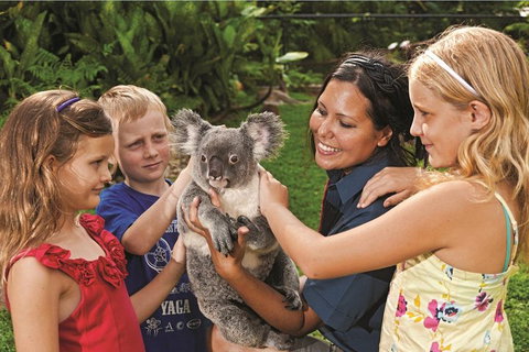 Kuranda Koala Gardens General Entry Ticket - Kawana Tourism 0