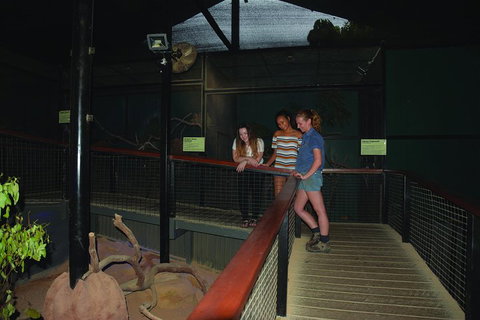 Kuranda Koala Gardens General Entry Ticket - Kawana Tourism 2