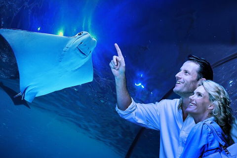 Cairns Aquarium Tour By Twilight With Drink And Appetiser - Kawana Tourism 4