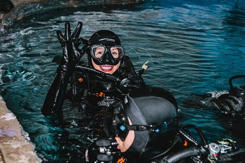 Cairns Aquarium Dive With The Sharks - Kawana Tourism 0