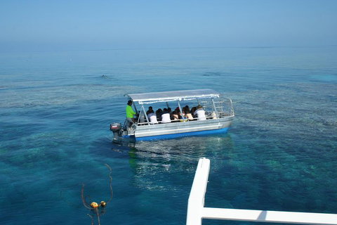 Seastar Luxury Outer Great Barrier Reef Island And Reef Tour From Cairns - Kawana Tourism 5