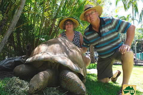 Small-Group Australia Zoo Day Trip From Brisbane - Kawana Tourism 1