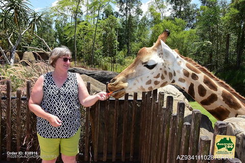Small-Group Australia Zoo Day Trip From Brisbane - Kawana Tourism 2