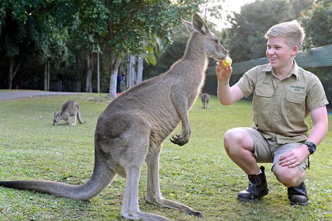 Small-Group Australia Zoo Day Trip From Brisbane - Kawana Tourism 4