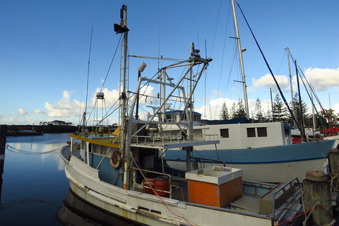 Beyond Byron Hinterland Tour - Kawana Tourism 0