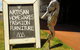 Beyond Byron Hinterland Tour - thumb 2