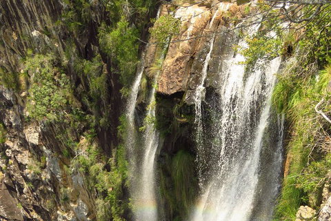 Beyond Byron Hinterland Tour - Kawana Tourism 5