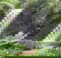 Private Daintree and Cape Tribulation Tour from Port Douglas