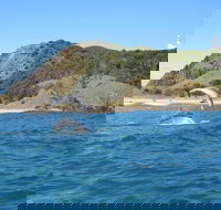 Kayaking with Dolphins in Byron Bay Guided Tour - Kawana Tourism