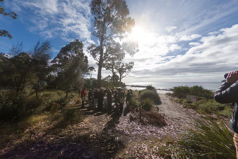 Bruny Island Day Tour, Includes Lunch And Exclusive Lighthouse Tour - Kawana Tourism 5