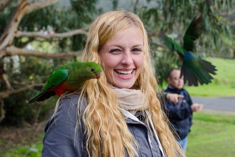 Great Ocean Road Reverse Itinerary With 12 Apostles From Melbourne - Kawana Tourism 0